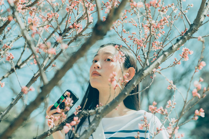 桜の中の阿久津さん
