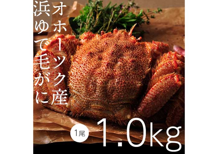 ぎょれん