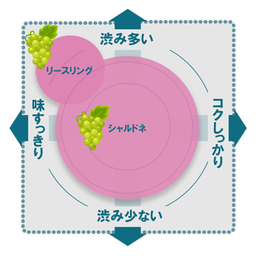 家飲みにおすすめのワイン12選｜ワインジャーナリストが厳選！