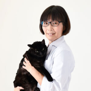 弓削田先生と猫