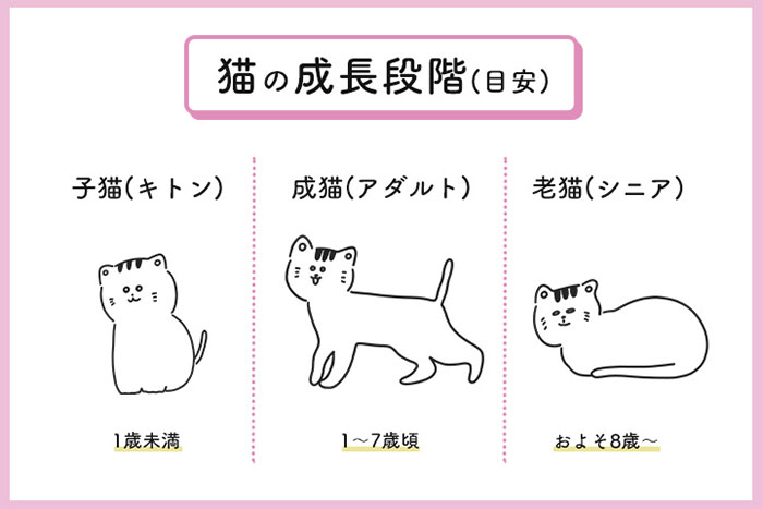 人気キャットフードおすすめ12選を比較 獣医師に聞いた安全で健康に良いエサの選び方