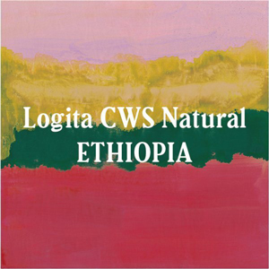 Ethiopia-Logita