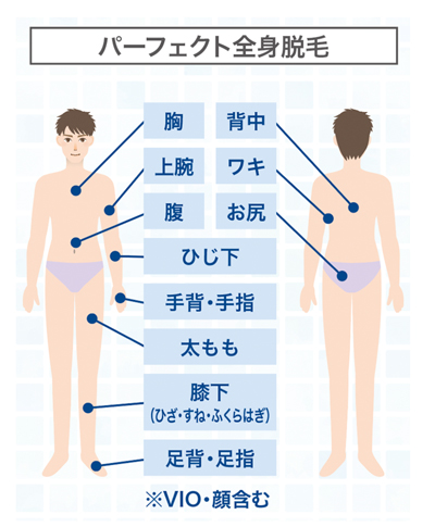 メンズ脱毛部位