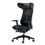 STRIKER SEATING EX