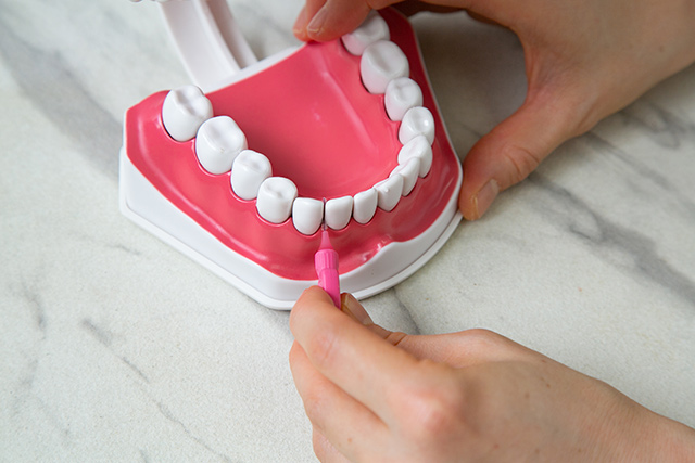  前歯はI字型歯間ブラシが使いやすい
