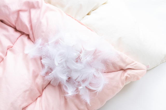 羽毛などの天然素材は放湿性が高く、快適な睡眠を得られる