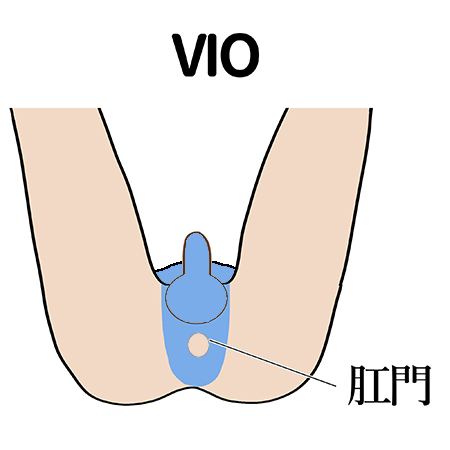 図版3VIO