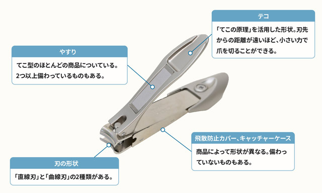 てこ型（クリッパー型）の特徴