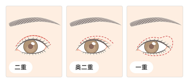 目のタイプに合わせて、メインカラーの塗り方を変えると◯