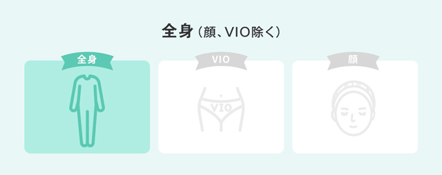全身(顔、VIO除く)
