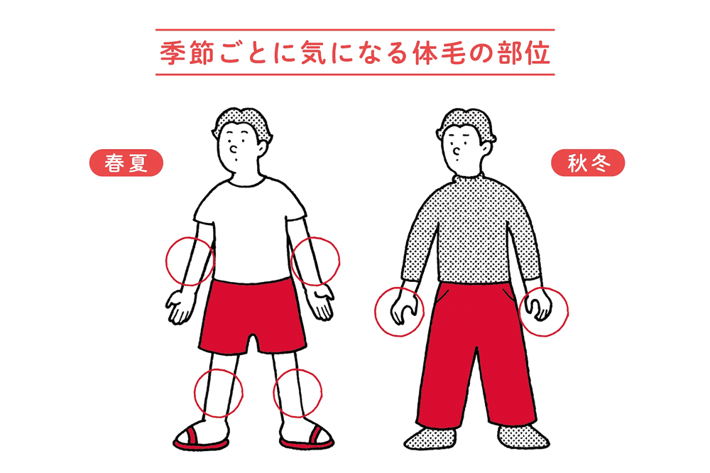 季節ごとに気になる体毛の部位
