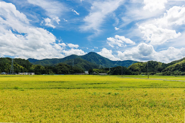 福井県の伝統産業とものづくりの魅力とは？