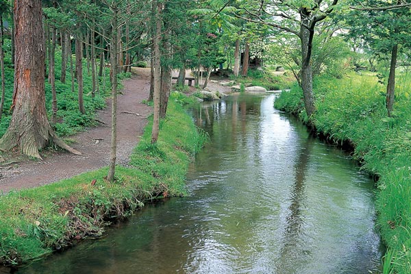 岩手県の伝統産業とものづくりの魅力とは?