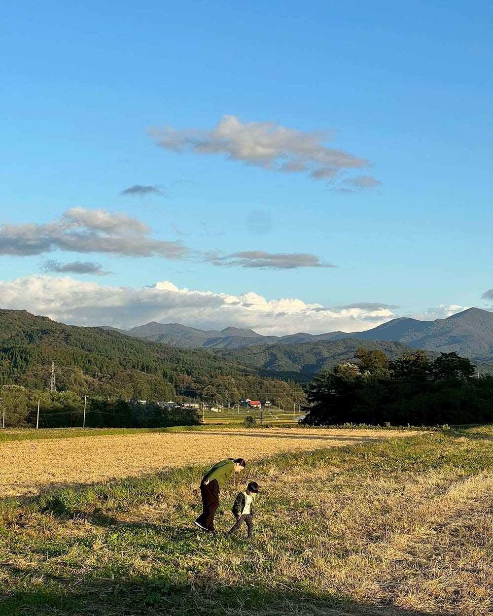 伝統の技術を受け継ぐ職人たちは、それをただ守るのではなく、現代の暮らしに合う形へと進化させながら、ものづくりの可能性を広げています。
