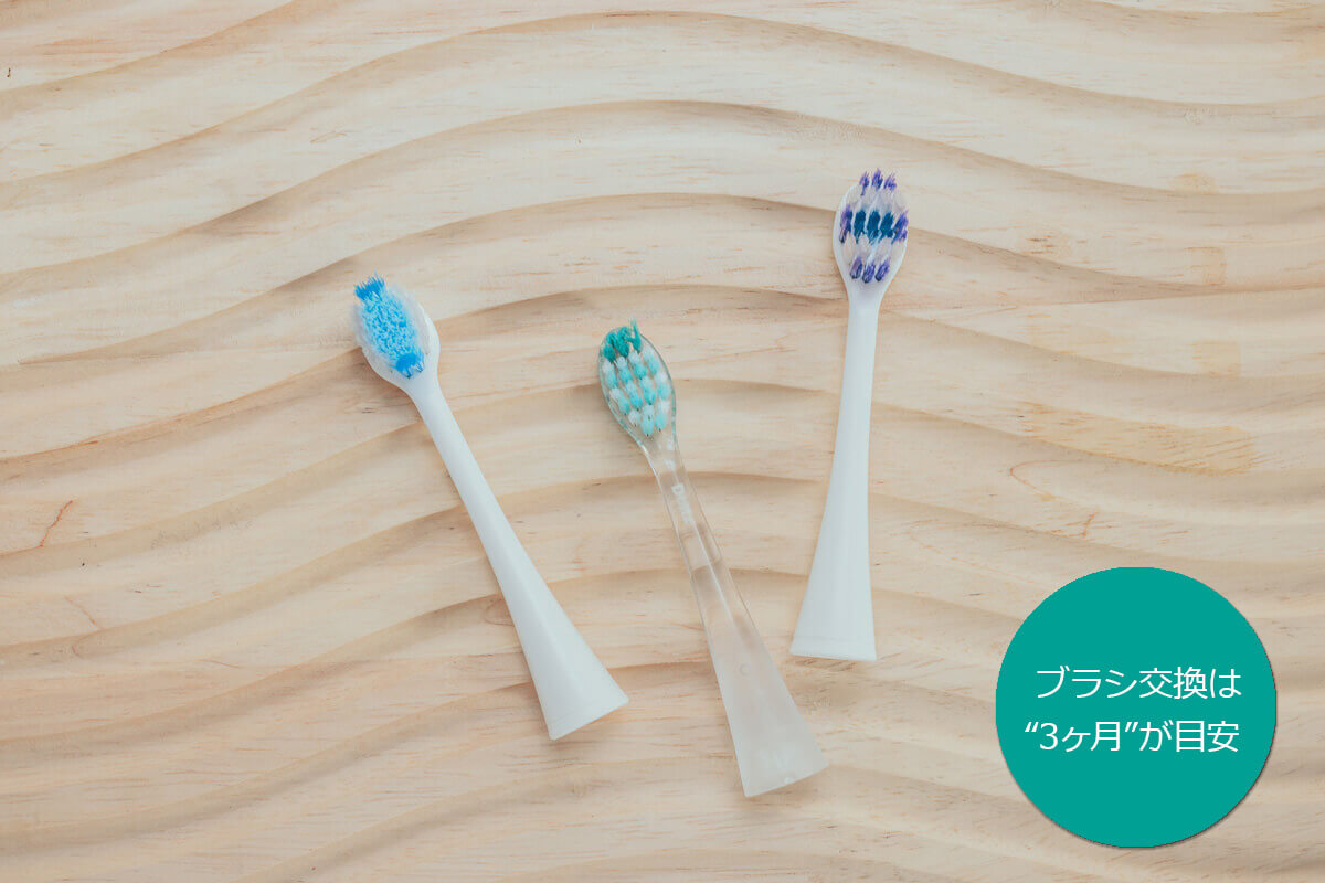 ドルツの替えブラシ