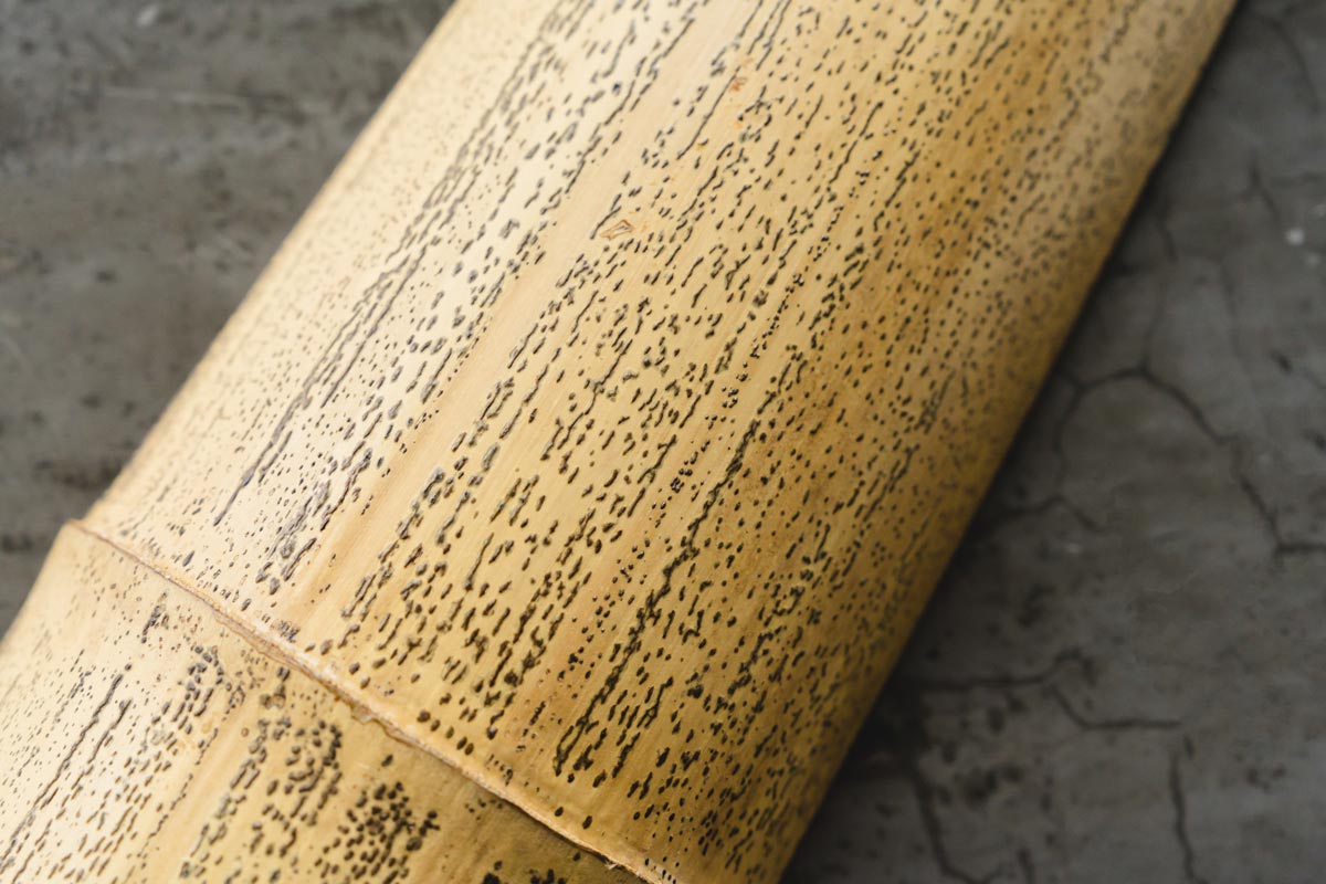 「胡麻竹（ごまたけ）」