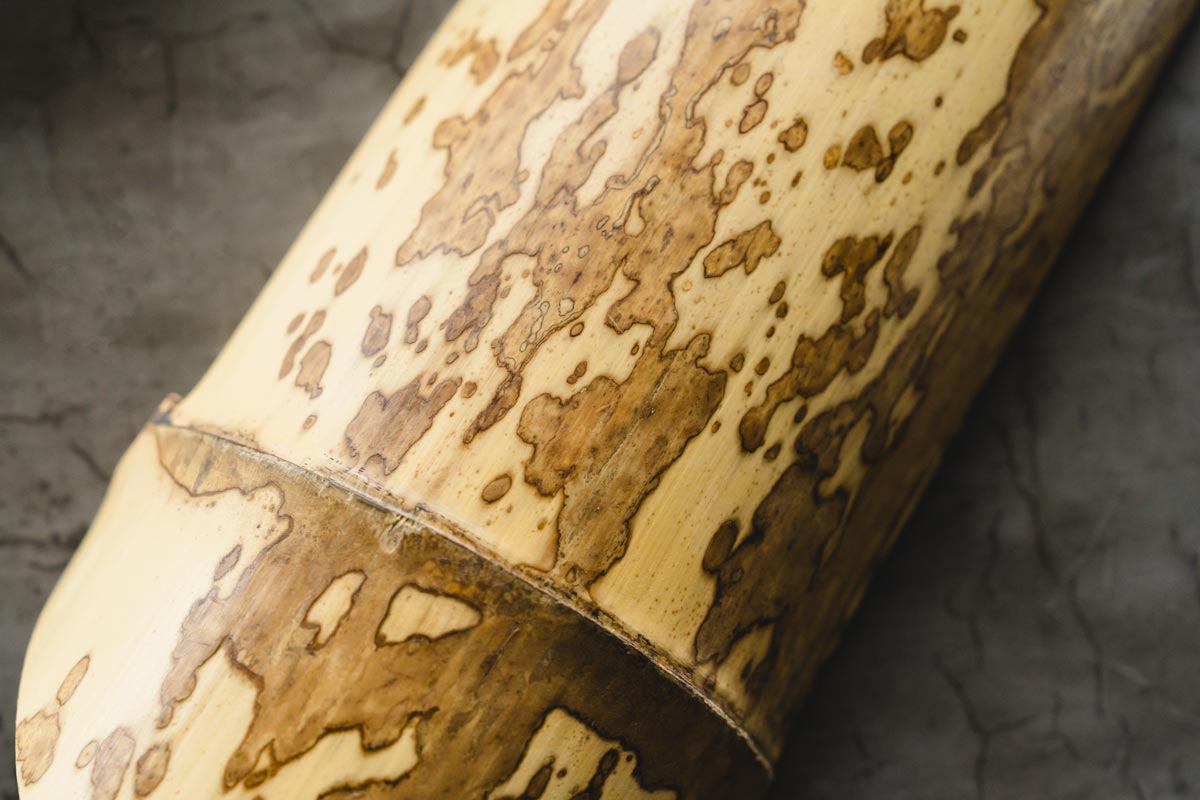 「図面竹（ずめんたけ）」