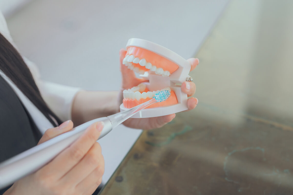 STEP3 ｜「コの字型」で歯を磨いていく