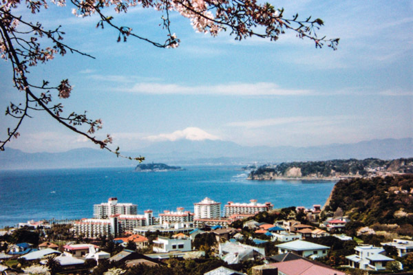 神奈川県・逗子市の伝統産業とものづくりの魅力とは?