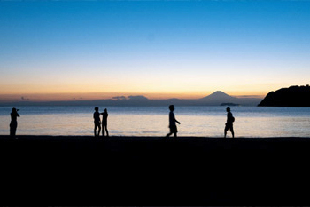 アカモクエキスとは？