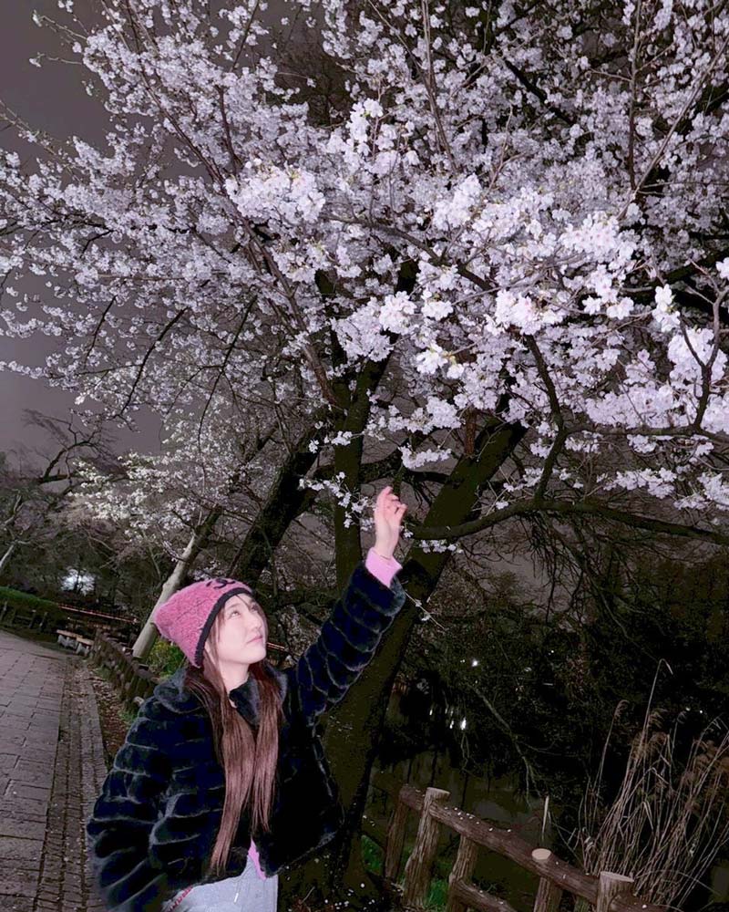 加藤美優の画像