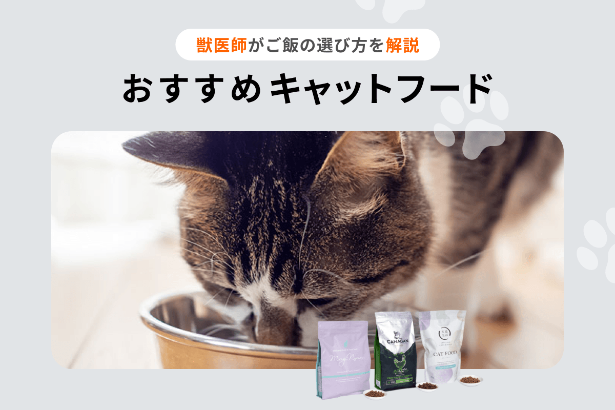 おすすめキャットフード
