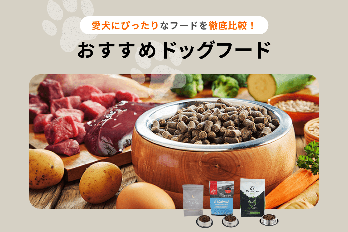 おすすめドッグフード