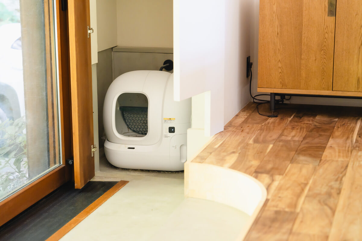 獣医師に聞いた、猫のニオイ対策の基本