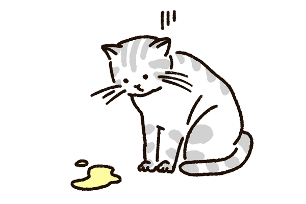 ストレス・環境変化による粗相 (トイレ外排泄)
