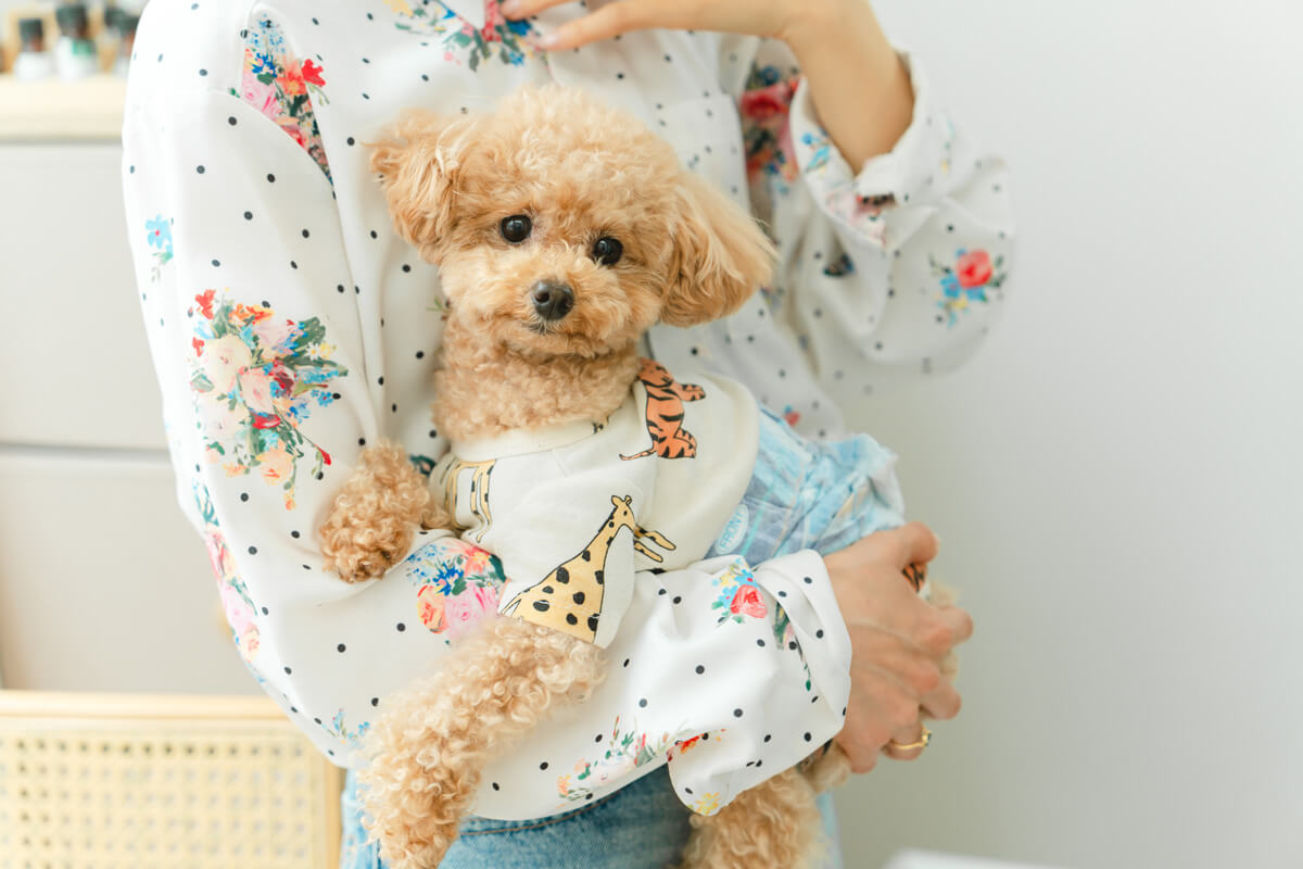 部屋に残る犬のニオイの原因とは？