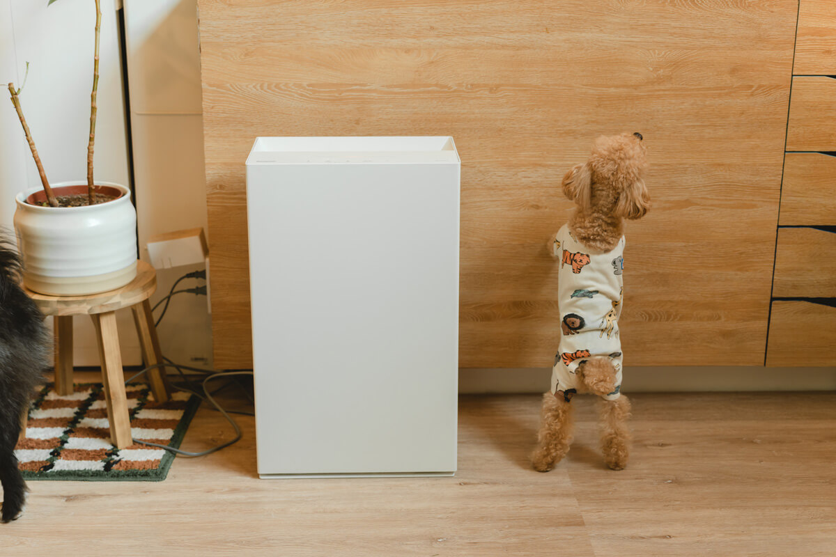 犬がいても臭い部屋にしないために…空間全体のケアが大切