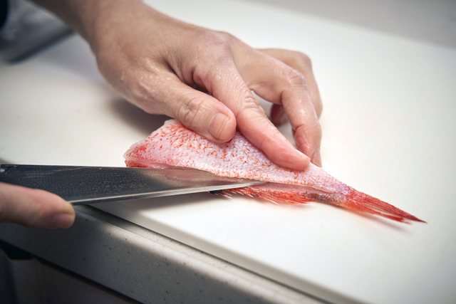 家庭で扱うことが多い25cm程度の中型魚（写真はキンキ）なら、この包丁で十分さばくことができる