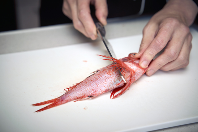 出刃包丁は魚以外にも使えるが、本領を発揮するのはやはり魚をさばくとき
