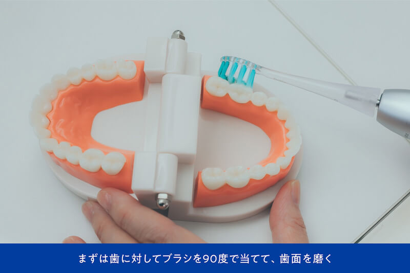 まずは歯に対してブラシを90度で当てて、歯面を磨く