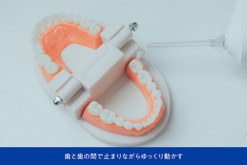 歯と歯の間で止まりながらゆっくり動かす