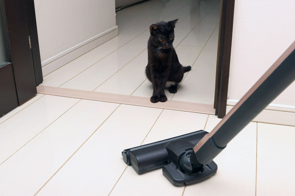 室内でペットを飼っていると避けられないのが排せつ物やニオイの処理。適切な方法を知っておくことが大事