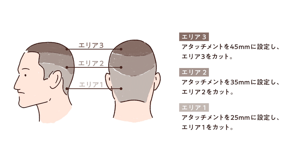 エリア3：アタッチメントを45mmに設定し、エリア2を刈り上げる。 エリア2：アタッチメントを35mmに設定し、エリア2を刈り上げる。 エリア1：アタッチメントを25mmに設定し、エリア1を刈り上げる。