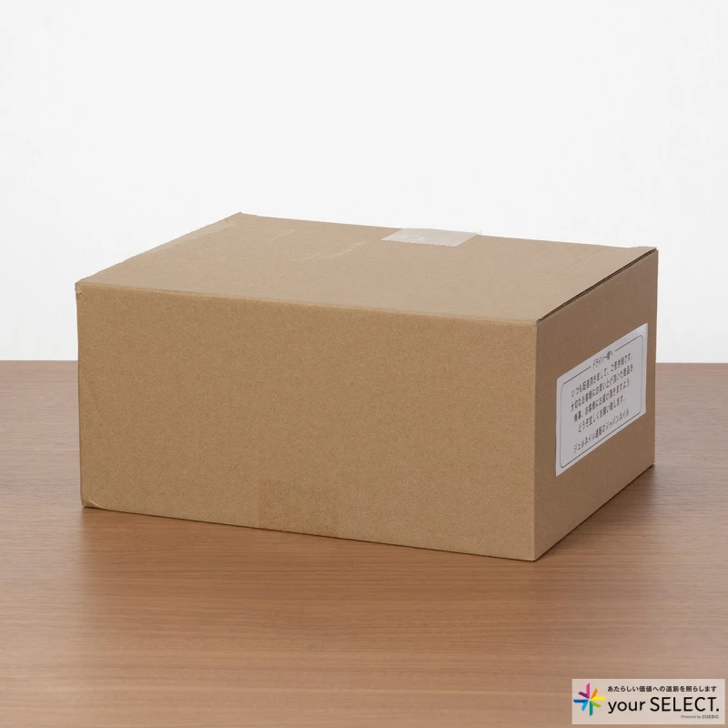 ジャパンネイルスクール / ジャパンネイル 日本製ジェルネイルキットの梱包状態